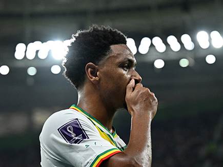 סנגל תרד מאוכזבת (getty)