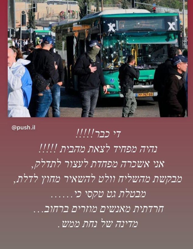 דניאל גרינברג מגיבה על הפיגוע המשולב בירושלים (צילום: instagram)