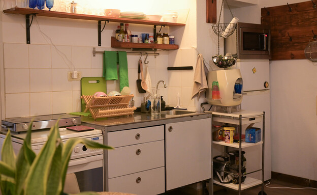 הדירה של ניב שגב - המטבח (צילום: ערן לוי)