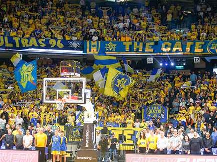 הקהל הצהוב (אלן שיבר)