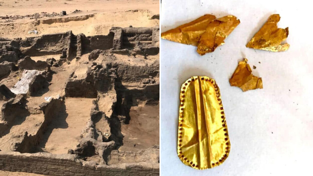 נמצאו מומיות עם לשון זהב מתקופת מצרים העתיקה (צילום: מתוך הרשתות החברתיות לפי סעיף 27א' לחוק זכויות יוצרים)