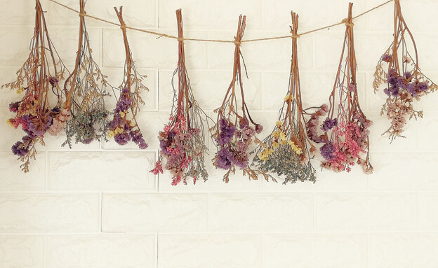 פרחים מיובשים תלויים (צילום: SHUTTERSTOCK)
