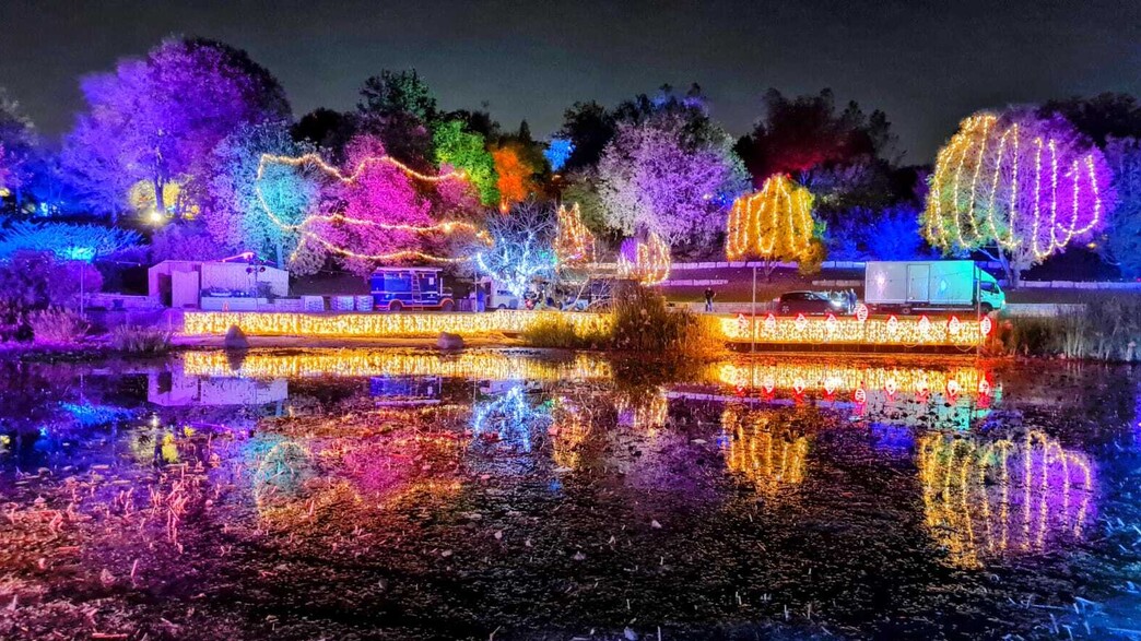 ווינטר לייט בגן הבוטני