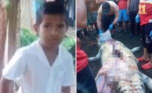 הילד נעלם בנהר, ושרידי גופתו נמצאו בקיבת הקרוקודיל (צילום: מתוך הרשתות החברתיות לפי סעיף 27א' לחוק זכויות יוצרים)