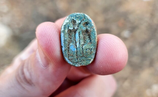 חרפושית קדומה בת 3,000 שנה (צילום: גלעד שטרן, רשות העתיקות)