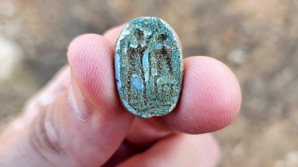 חרפושית קדומה בת 3,000 שנה חרפושית קדומה בת 3,000 שנה