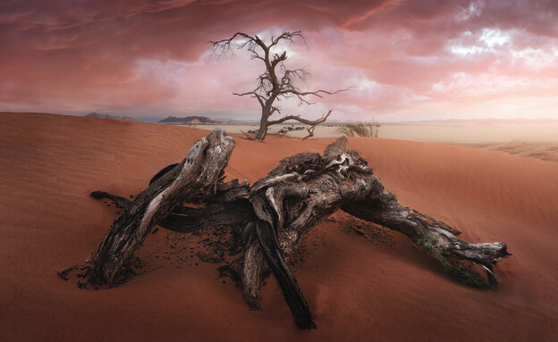 שמיים מדהימים (צילום: Jose D. Riquelme ,  The 9th International Landscape Photographer of the Year)