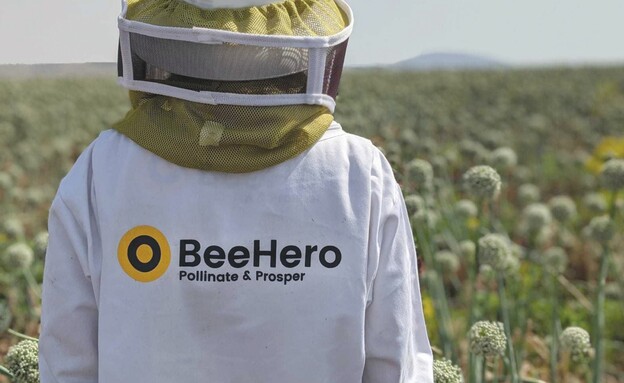 כוורן של BeeHero (צילום: BeeHero, יחצ)