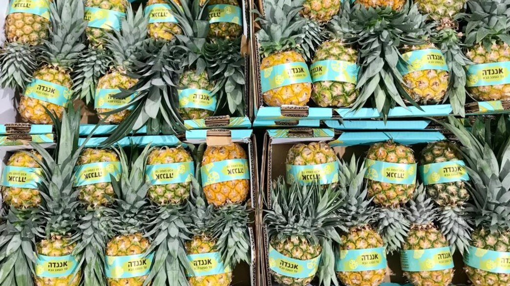 אננס ישראלי אננס ישראלי