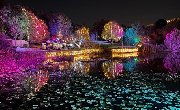 מה הלוז- משפחה- Winter Lights בגן הבוטני (צילום: תום עמית, יח"צ)