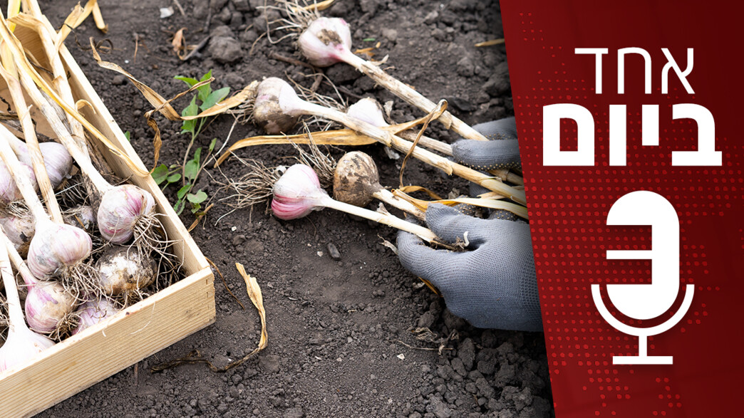 אחד ביום אחד ביום