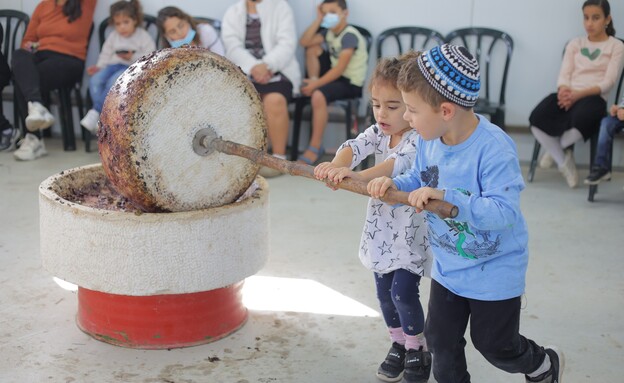 מה הלוז - אירועי חנוכה 2022 - חנוכה בצפון הנגב - פסטיבל שמן הזית (צילום: אילון מלילנקוב, יח"צ) מה הלוז - אירועי חנוכה 2022 - חנוכה בצפון הנגב - פסטיבל שמן הזית (צילום: אילון מלילנקוב, יח"צ)