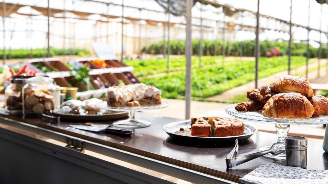 קפה בחוות בית השיטין