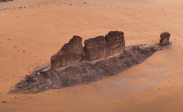 סלע שדומה לדג במדבר סעודיה (צילום: חאלד אל-אנזי, CNN)