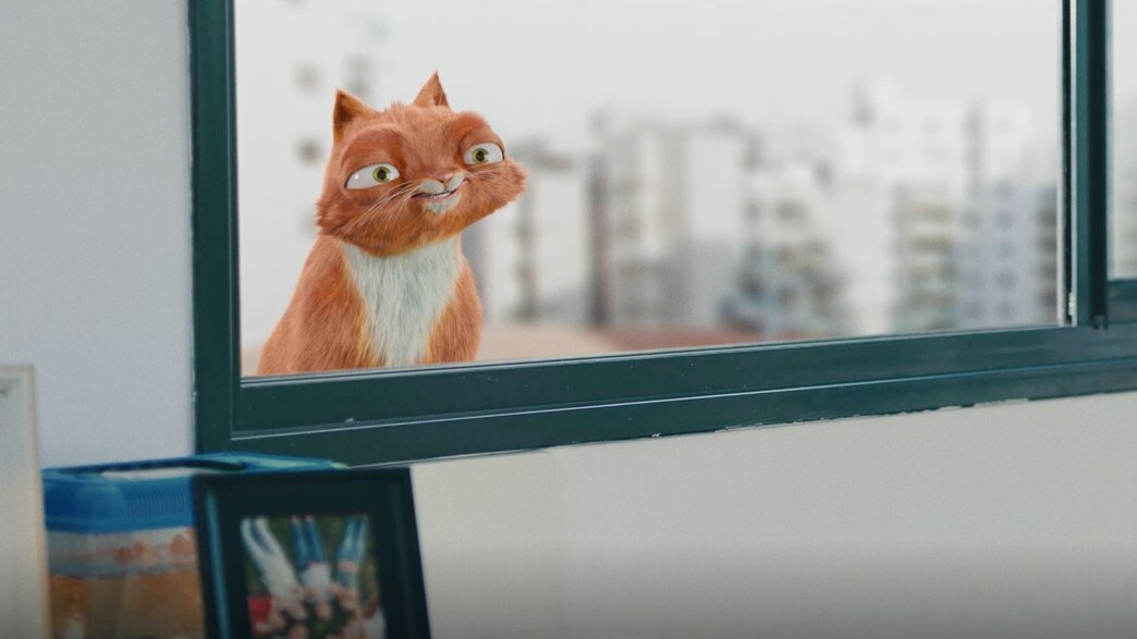 קקטוס הזהב - תאגיד המחזור קקטוס הזהב - תאגיד המחזור