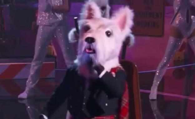 הכלב ב"הזמר במסכה" (צילום: צילום מסך/YouTube)