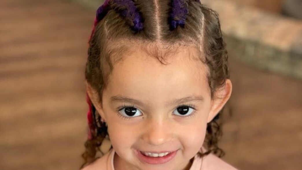 אלין אהוד, בת ה-3 שנהרגה מקריסת מעקה הבטיחות