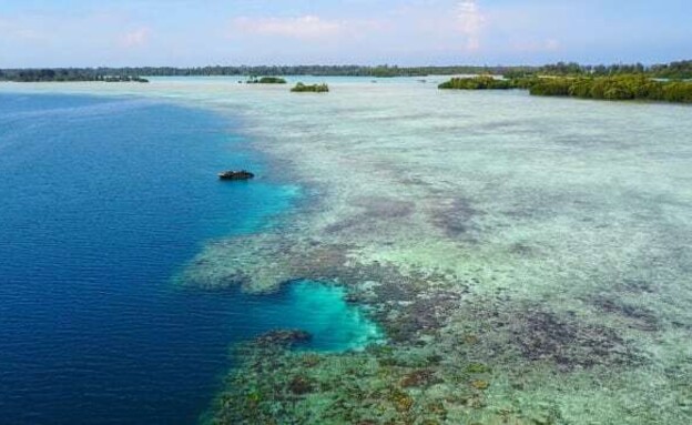 האיים האינדונזים שמוצעים למכירה (צילום: CNN)