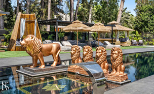 וילה בסביון, עיצוב רינת שוהם,  (צילום: מאור מויאל)