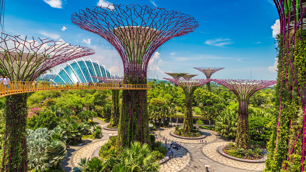 סינגפור הגנים שלשפת המפרץ