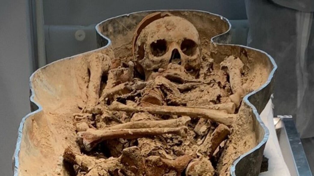 שלד שנמצא בקתדרלת נוטרדאם