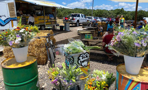 קפה 79 (צילום: סמדר הרשקוביץ)