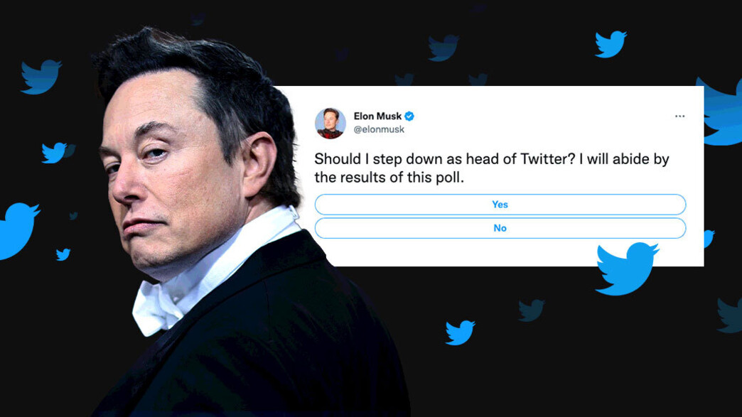 אילון מאסק והסקר שפרסם