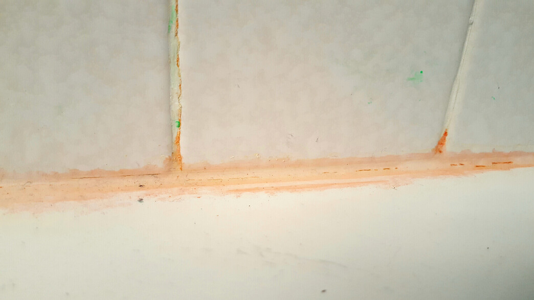 עובש ורוד במקלחת עובש ורוד במקלחת