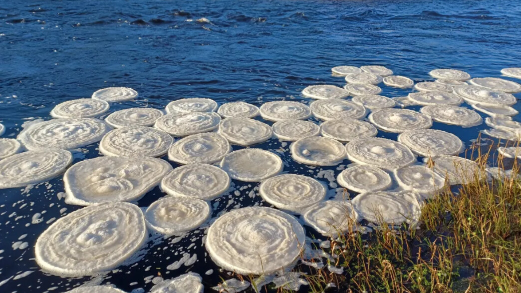 "פנקייקים של קרח" בסקוטלנד "פנקייקים של קרח" בסקוטלנד