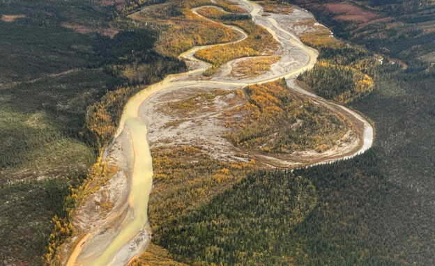 מימי נהר הסלמון שבאלסקה הופכים כתומים (צילום: Roman Dial)