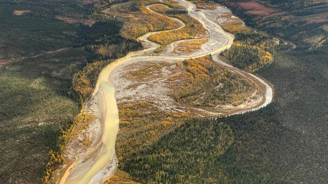 מימי נהר הסלמון שבאלסקה הופכים כתומים מימי נהר הסלמון שבאלסקה הופכים כתומים