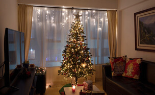 עץ כריסמס בדירה (צילום: Alejo Bernal, shutterstock)