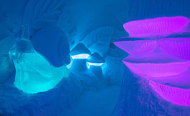 מלון הקרח 2022 (צילום: אסף קליגר)