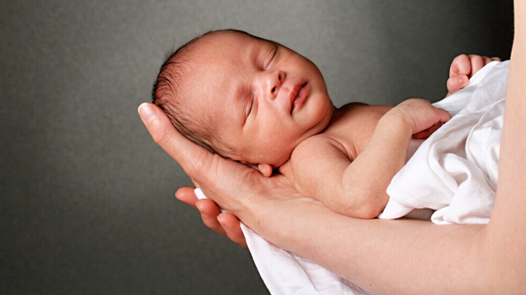 ליס - סיפור של שירי