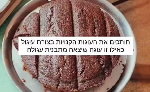 העוגה של רותם סלע - 2 (צילום: מתוך הסטורי של רותם סלע, rotemsela1@)