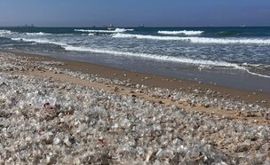 הפלסטיק בחוף אשקלון  (צילום: מתוך אינסטגרם אנשי הים התיכון, רחל יצחקי)