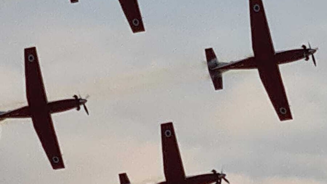 מטס חייל האוויר שנתקל בלהקת ציפורים