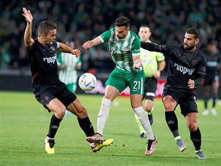 דין דוד הגיע (צילום: אלן שיבר)