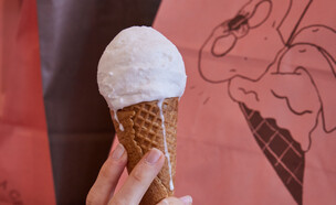 גלידה בונה בונו  (צילום: יונתן בן חיים, יחסי ציבור)