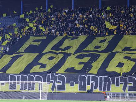 לצהוב לוהט (צילום: דני מרון)