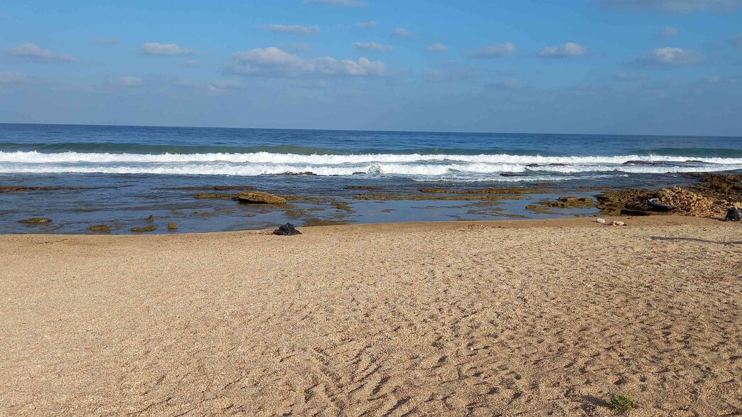חוף עכו, אחד החופים הנקיים בארץ (צילום: יעל שי, המשרד להגנת הסביבה)