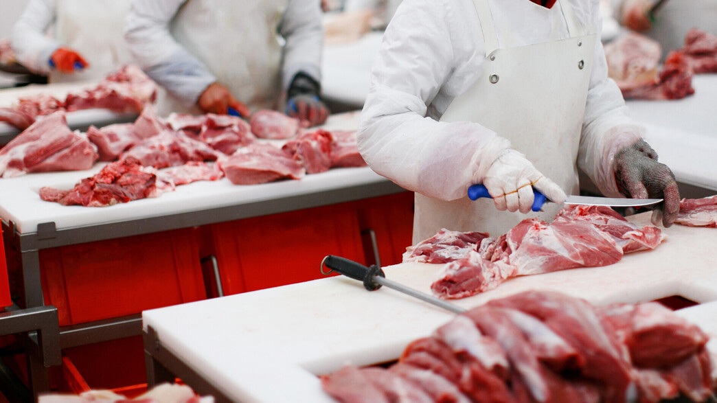מפעל בשר מפעל בשר