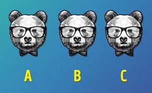 חידת שלושת הדובים 