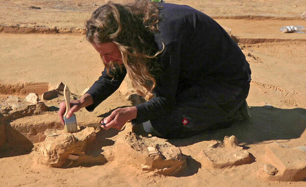 ביצי יען בנות אלפי שנים אותרו בחפירה בחולות ניצנה (צילום: אמיל אלג'ם, רשות העתיקות)