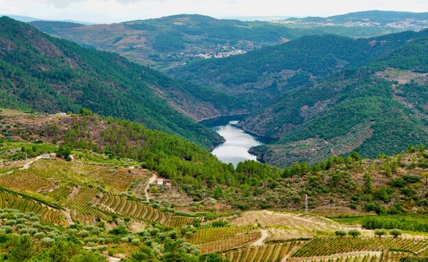 עמק הדורו בפורטוגל (צילום: רוית מטרסו)