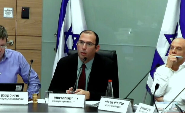 ועדת החוקה (צילום: ערוץ הכנסת)