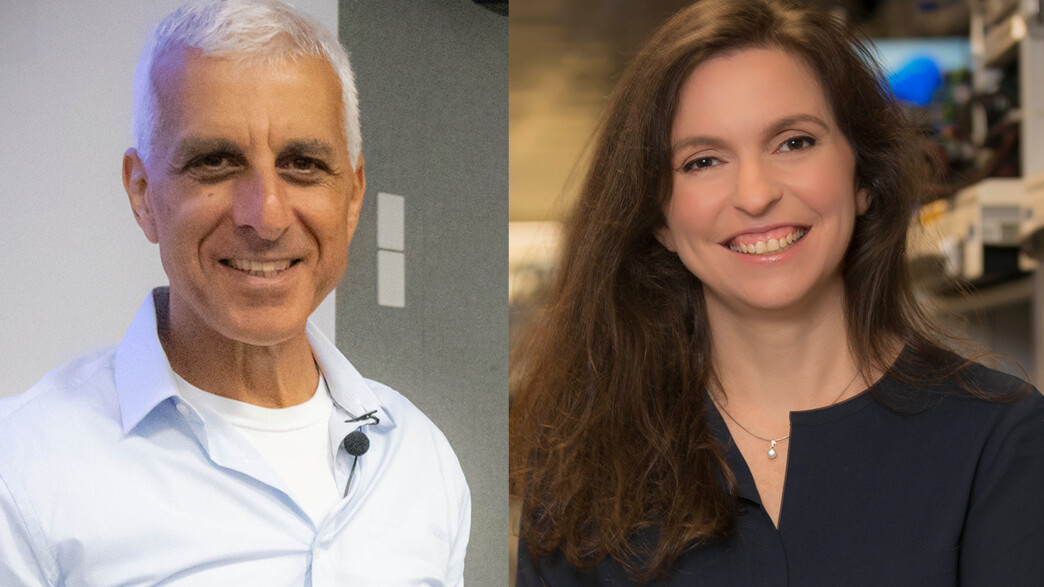 קרין אייבשיץ סגל ודני בן עטר, מנכ"לים משותפים אינטל ישראל קרין אייבשיץ סגל ודני בן עטר, מנכ"לים משותפים אינטל ישראל