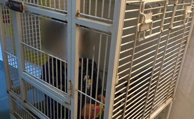 תינוק כבן שנה כלוא בכלוב בחיפה (צילום: דוברות המשטרה)