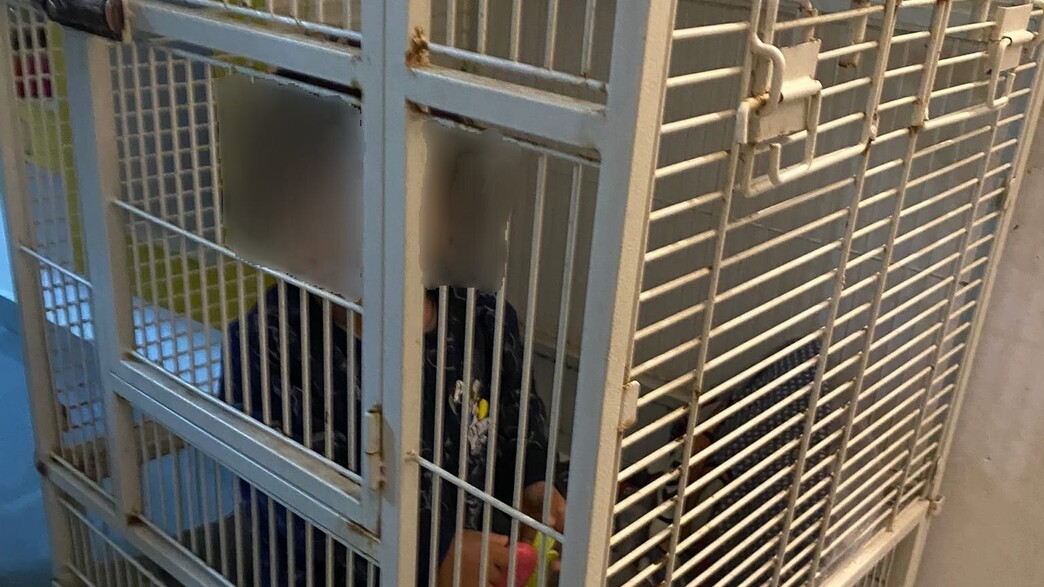 תינוק כבן שנה כלוא בכלוב בחיפה (צילום: דוברות המשטרה)