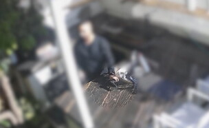 עסקת הסמים שהתפוצצה